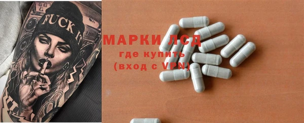 PSILOCYBIN Иннополис