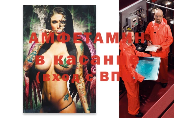 PSILOCYBIN Иннополис