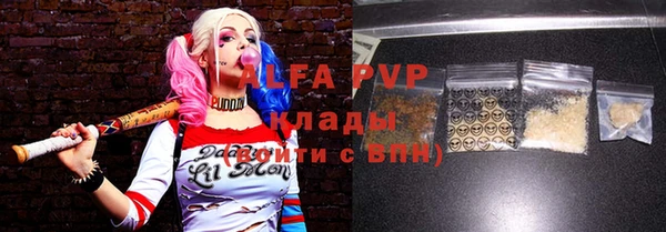 PSILOCYBIN Иннополис