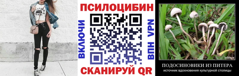 Галлюциногенные грибы MAGIC MUSHROOMS  Купить где  Яхрома 